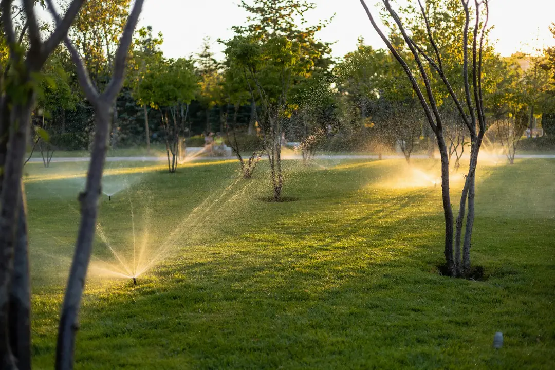 Irrigatori automatici accesi su un prato